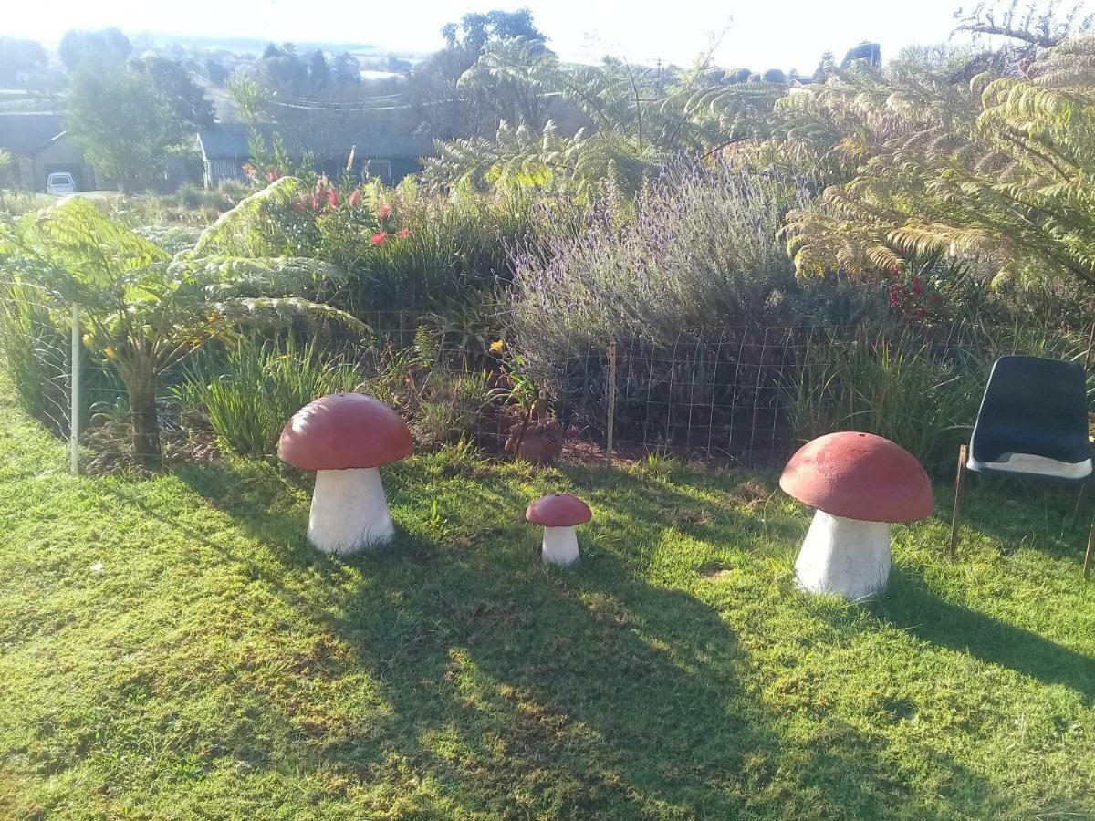 Horizon View Chalets Graskop Bagian luar foto